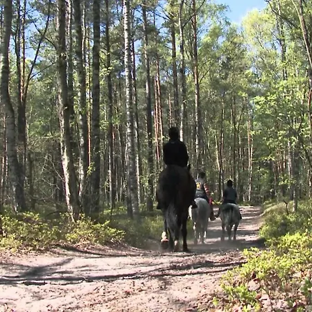 Bursztynowy Zakatek Lodge Jantar