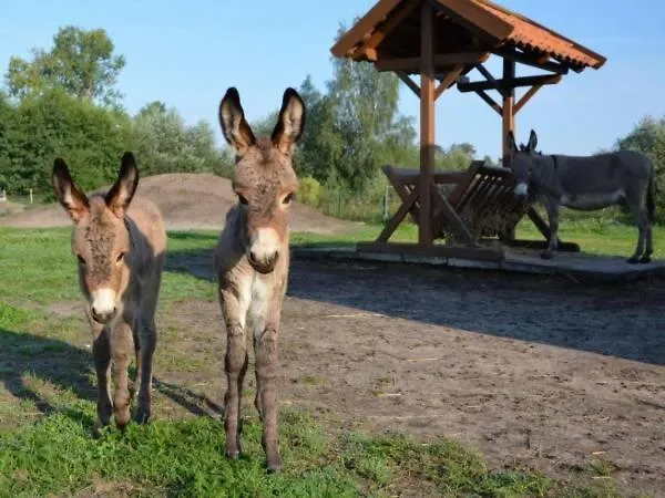 Bursztynowy Zakatek * Янтар