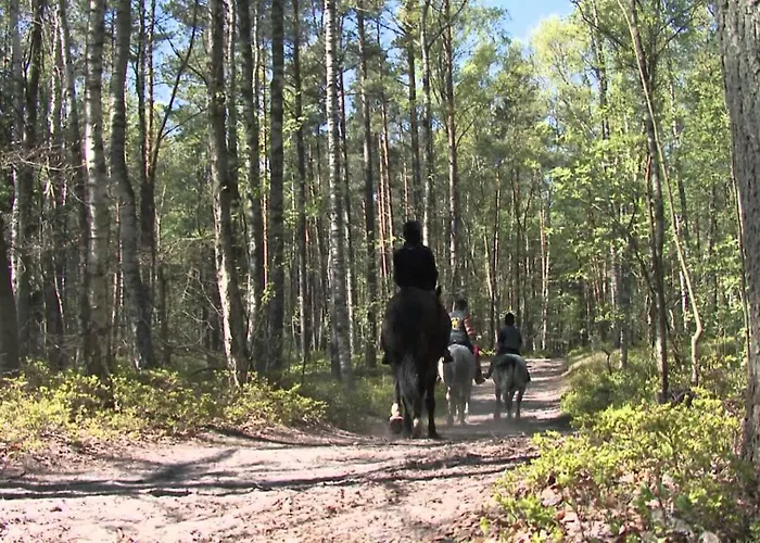 Bursztynowy Zakatek Деревянный коттедж Янтар